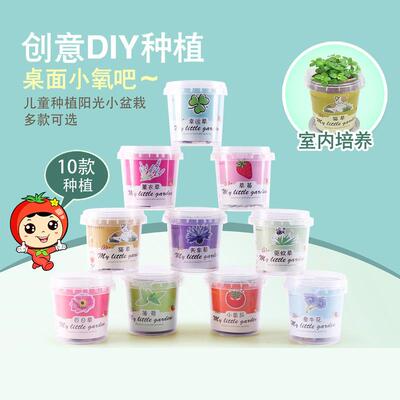 planting small potted vegetables plant children students