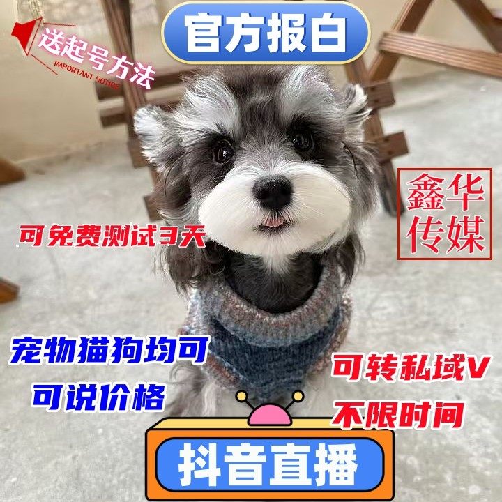 宠物活体狗狗猫咪报白类目定向邀约抖店开通防风控抖音直播间挂靠