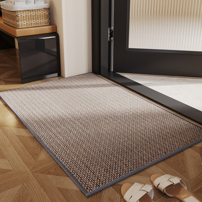 Water absorbing foot mat and anti slip carpet at the entranc