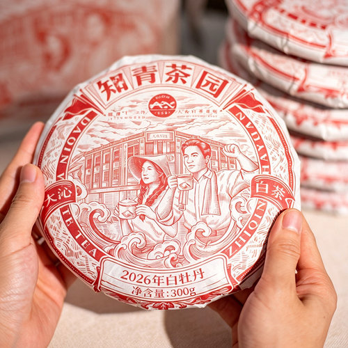 大沁白茶2026年知青白牡丹饼300g