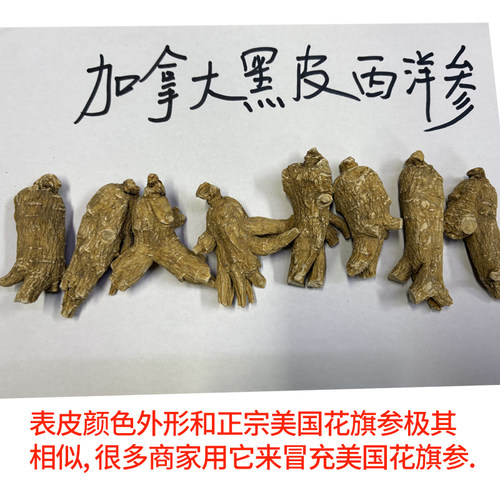 加拿大黑皮西洋参高仿美国花旗参500克