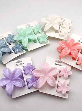 3/6/9/12PCS Hawaiian Gradient Flower Hair Claw Clip For Wome