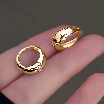 2Pcs Elegant Stainless Steel Hypoallergenic French Hoop Earr