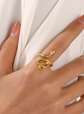 Stainless Steel Snake Ring Punk Hip Hop Style Zodiac Snake R