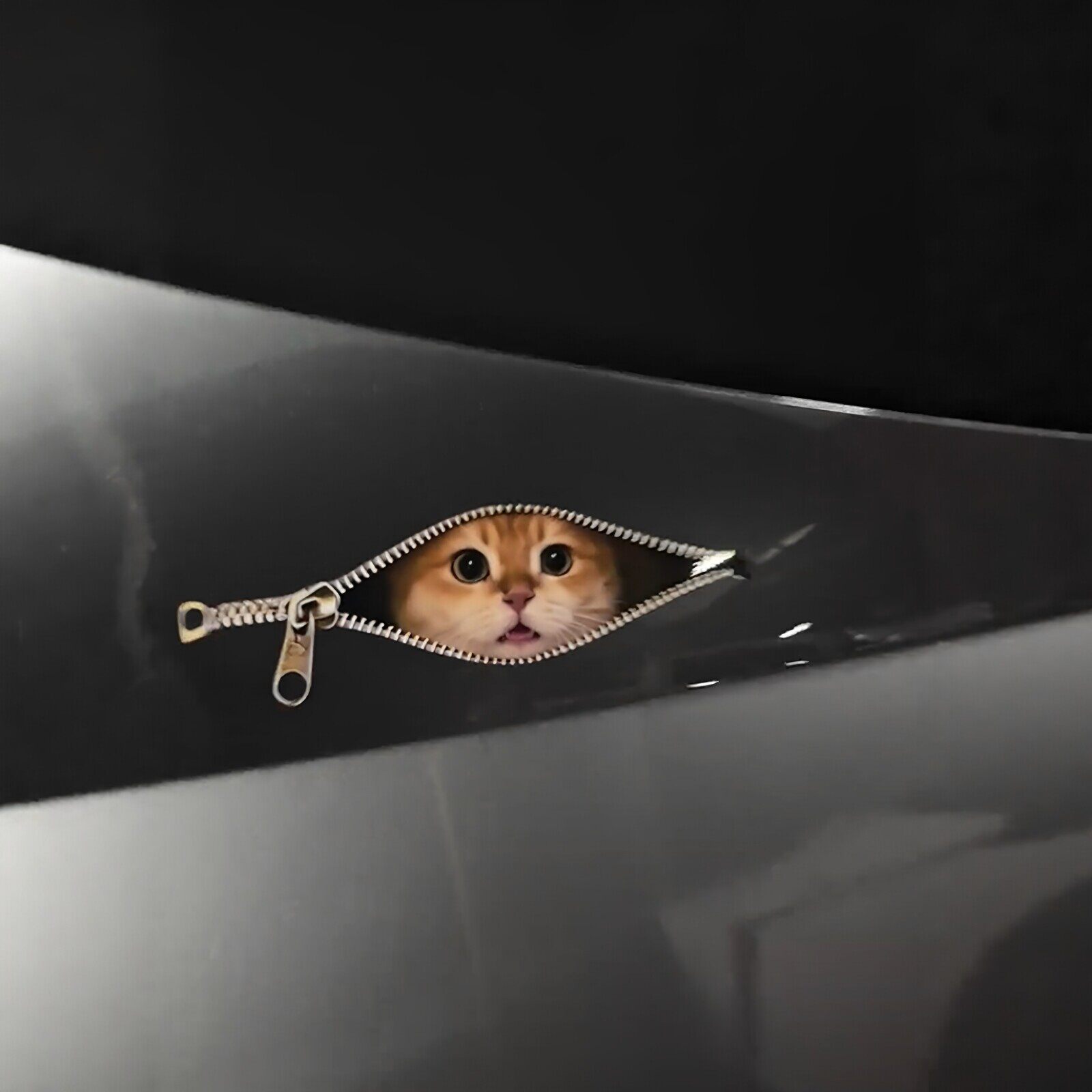 【车上长猫】拉链猫咪车贴遮挡划痕引擎盖车尾玻璃装饰贴纸女司机