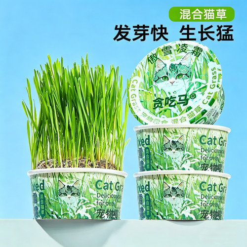 贪吃马无土猫草罐化毛去毛球