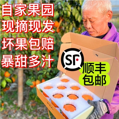 新鲜水果包装象山水果橙