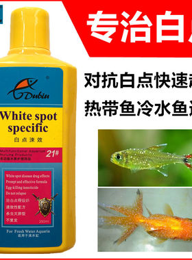 观赏热带鱼孔雀红绿灯小瓜虫白点