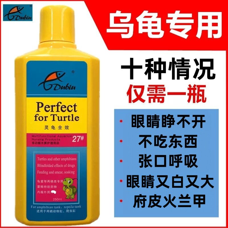 乌龟炎白眼烂甲壳烂肉德比