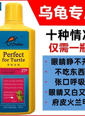 乌龟炎白眼烂甲壳烂肉德比