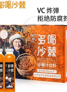 甘肃庆阳果味果汁饮料整箱装