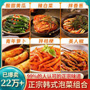 正宗韩式 泡菜辣白菜韩国风味下饭咸菜延边朝鲜族小葱桔梗萝卜商用