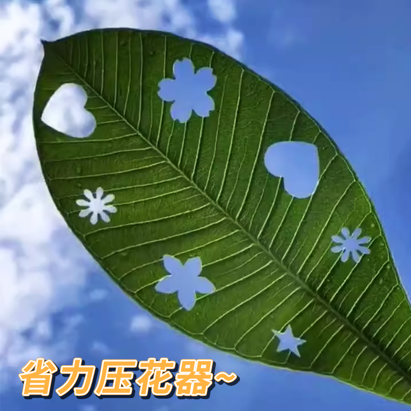 省力大号压花器星星打孔器手工五角星印花可得优按压花器幼儿园儿童小
