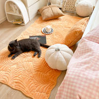 The bedroom floor MATS, bedside cushions, seat cushions, milk velvet carpets and room blankets in the Instagram style of the home are all cute and girlish thumbnail 6
