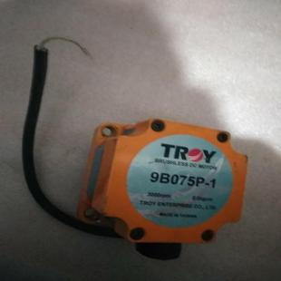 {雅致商行}手拆机TROY泰映无刷电机 1剪线实物照片 9B075P