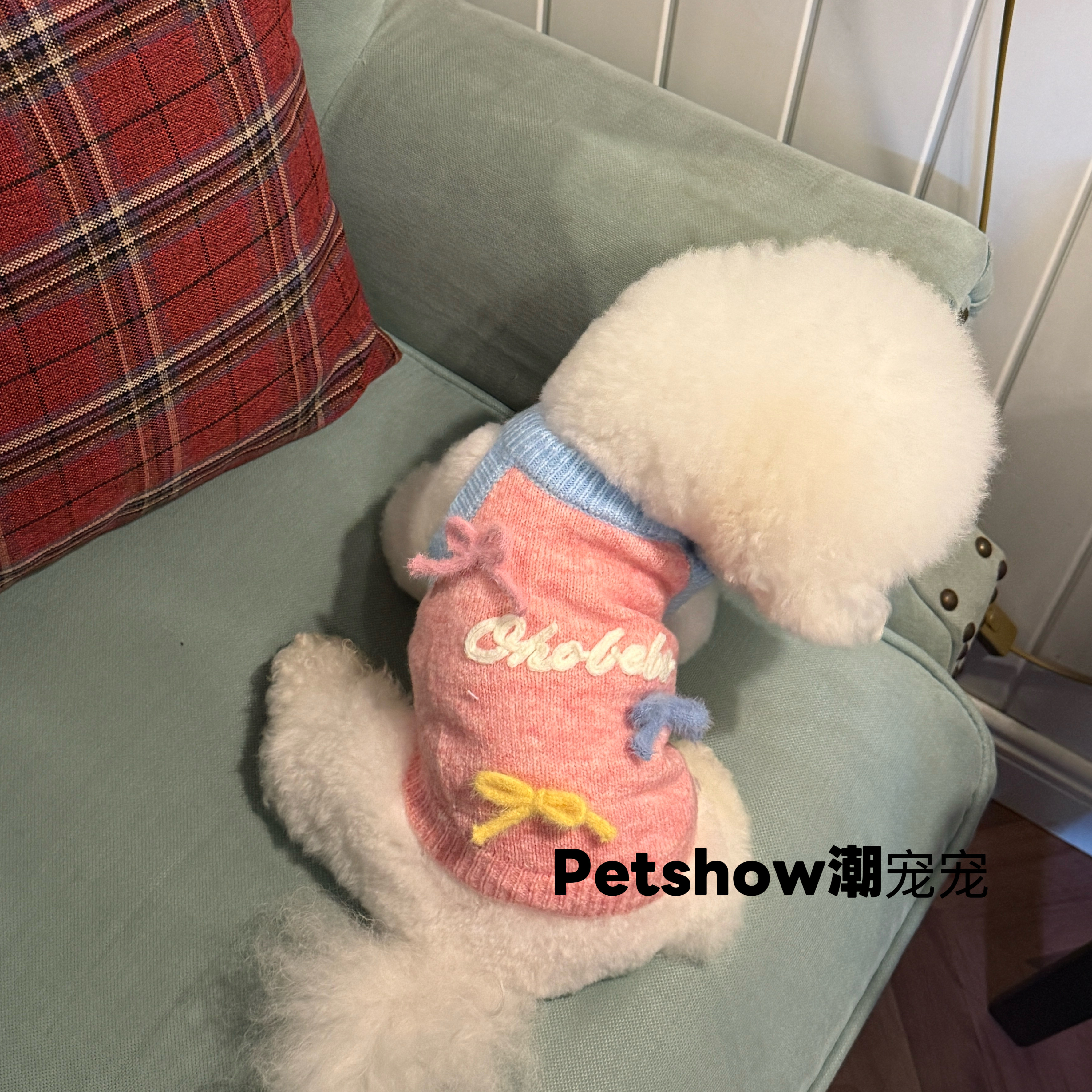 新款宠物狗毛衣衣服秋冬款泰迪比熊雪纳瑞小型犬衣服保暖狗狗服装