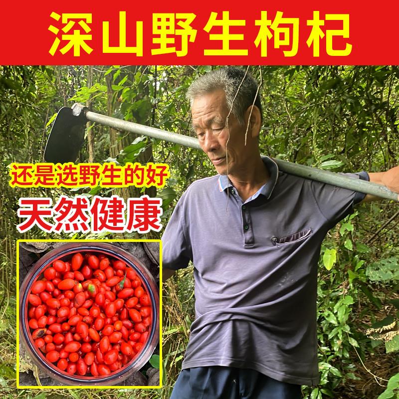 爷爷深山纯野生红枸杞子500g特级中药材正宗宁夏苟杞构官方旗店
