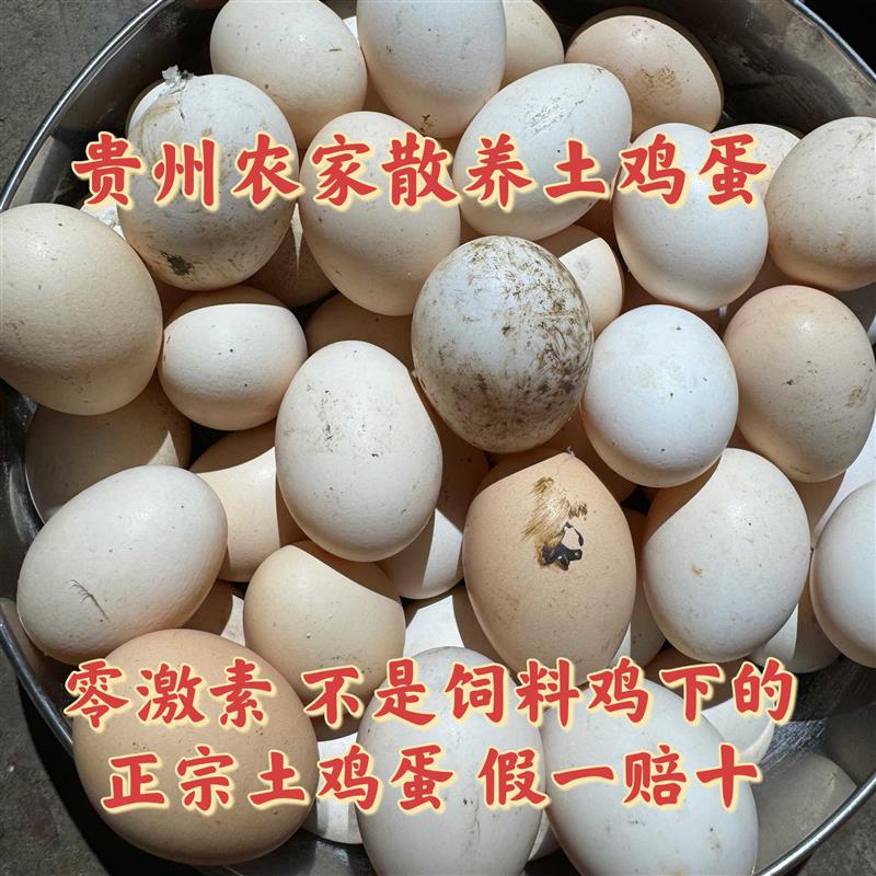 贵州农家自然散养土鸡蛋柴鸡蛋宝宝蛋月子蛋真正的正宗农家土鸡蛋