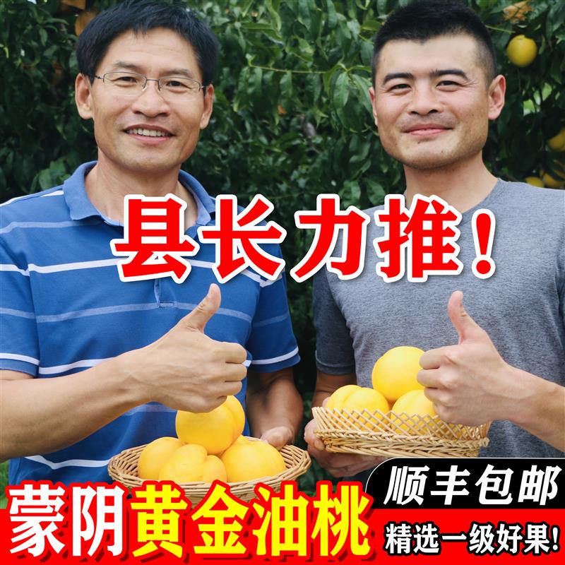 山东蒙阴奶油桃新鲜水果当季应季桃子脆甜黄桃黄金油桃整箱孕妇