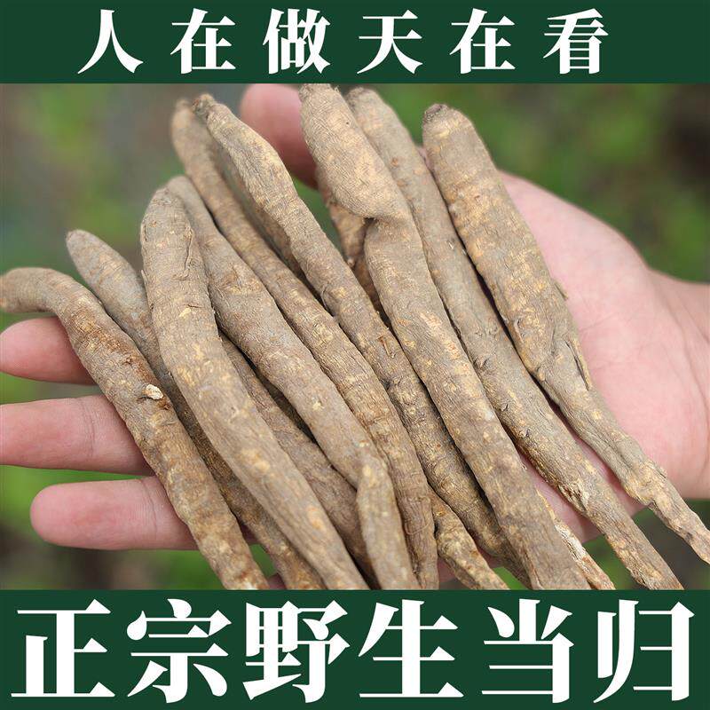 野生当归500g克特级无硫中药材正品甜全当归片岷县整根头黄芪党参
