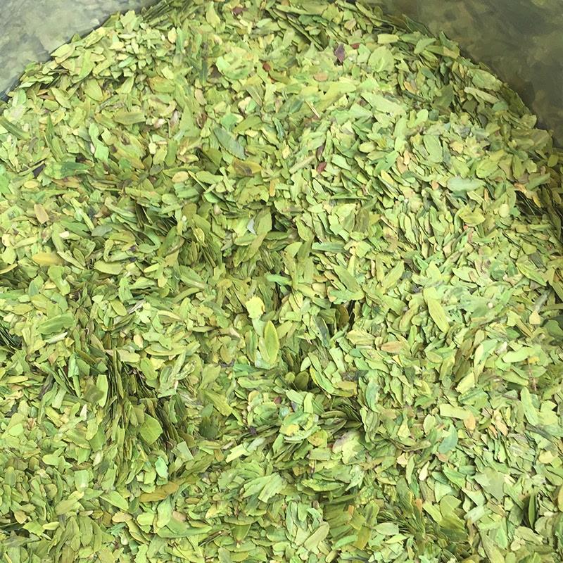 2026新茶杭州龙井茶新茶碎茶高碎绿茶心茶片特级龙井高碎浓香500g