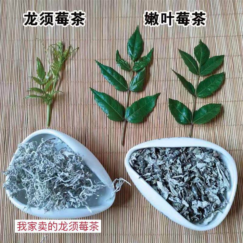 张家界特级龙须2025新茶嫩芽莓茶润喉茶农直销品质有保障无添加
