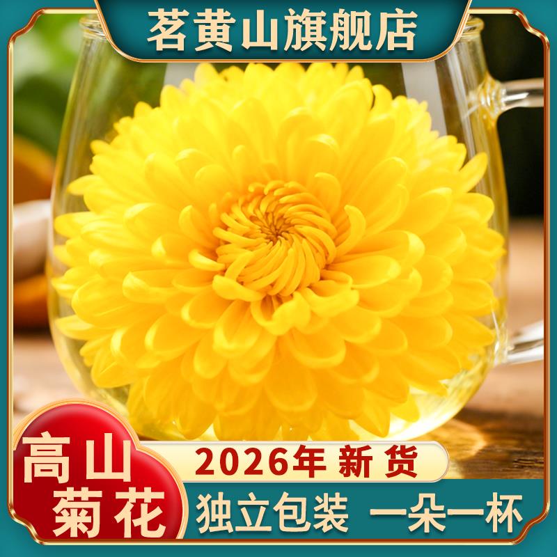 黄山菊花茶菊花黄菊一杯一朵金丝皇菊贡菊胎菊特产级官方旗店