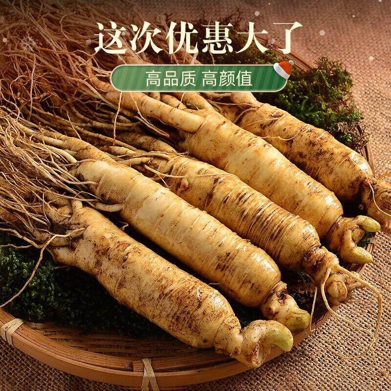 鲜人参长白山东北人参整根新鲜带土鲜参500g现挖煲汤泡酒中药材