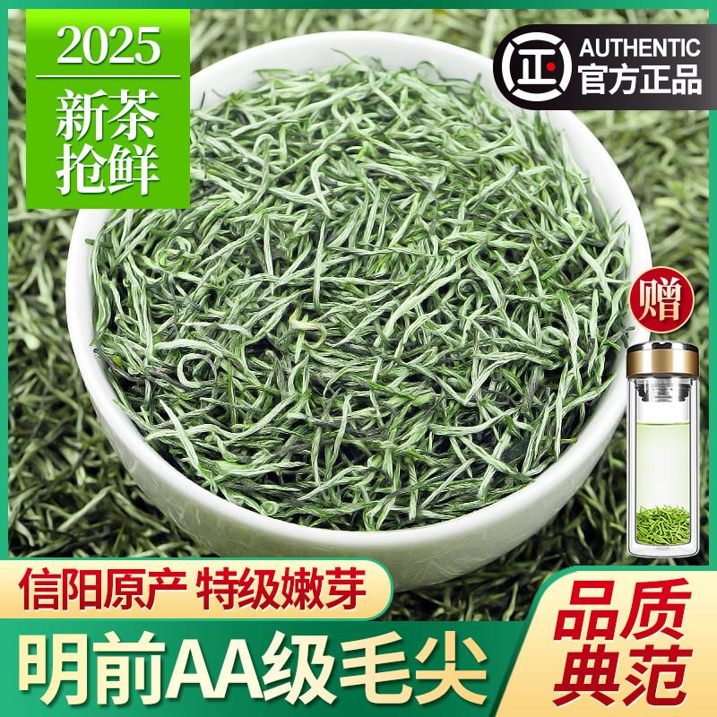 正宗信阳原产毛尖2025新茶特级2A绿茶明前嫩芽毛尖茶散装茶叶500g