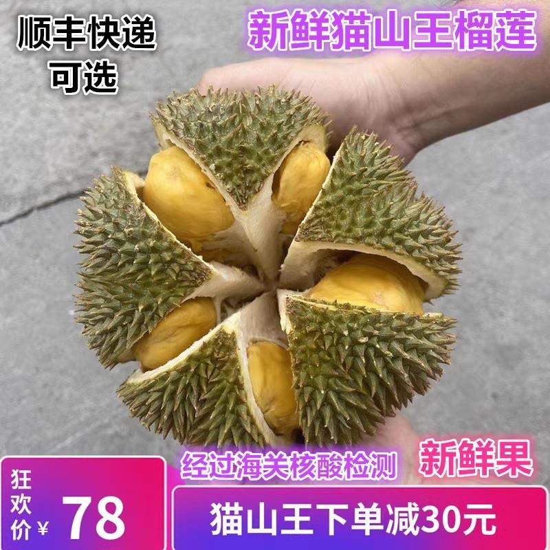 猫山王榴莲新鲜带壳特产应季水果现摘10斤泰国小巴掌顺丰金榴莲枕