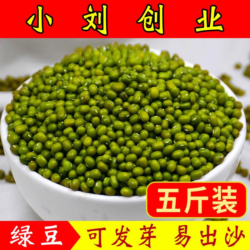 东北发芽绿豆子5斤新鲜发豆芽专用农家自种杂粮笨绿豆