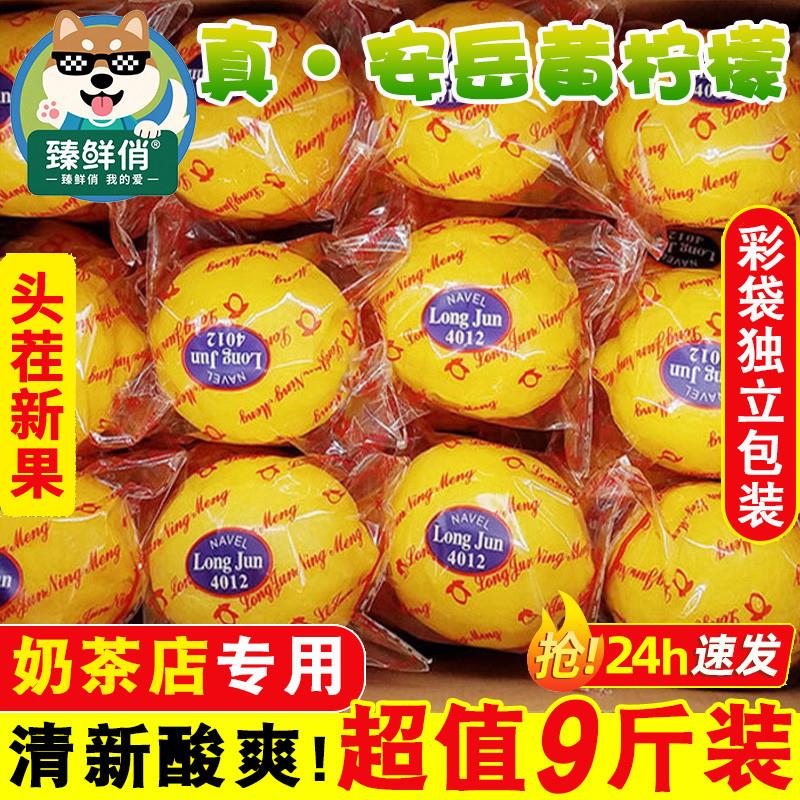 安岳黄柠檬新鲜现摘奶茶店专用皮薄一二级四川大小鲜水果商用