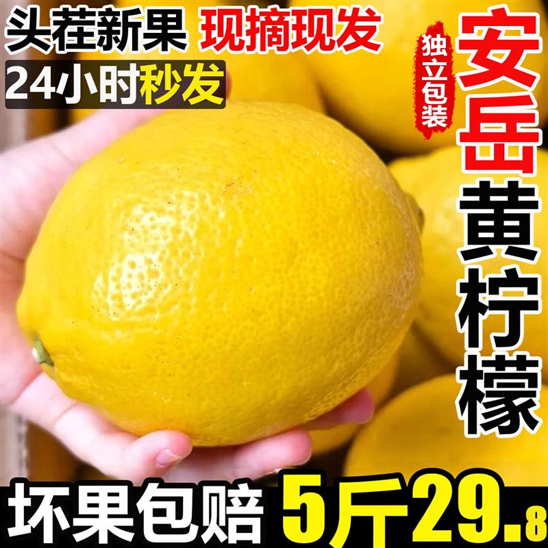 安岳黄柠檬新鲜水果皮薄一四川当季级奶茶店专用香大商多汁9B