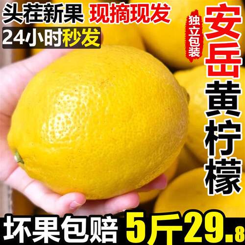 安岳黄柠檬新鲜水果皮薄一四川当季级奶茶店专用香大商多汁9B