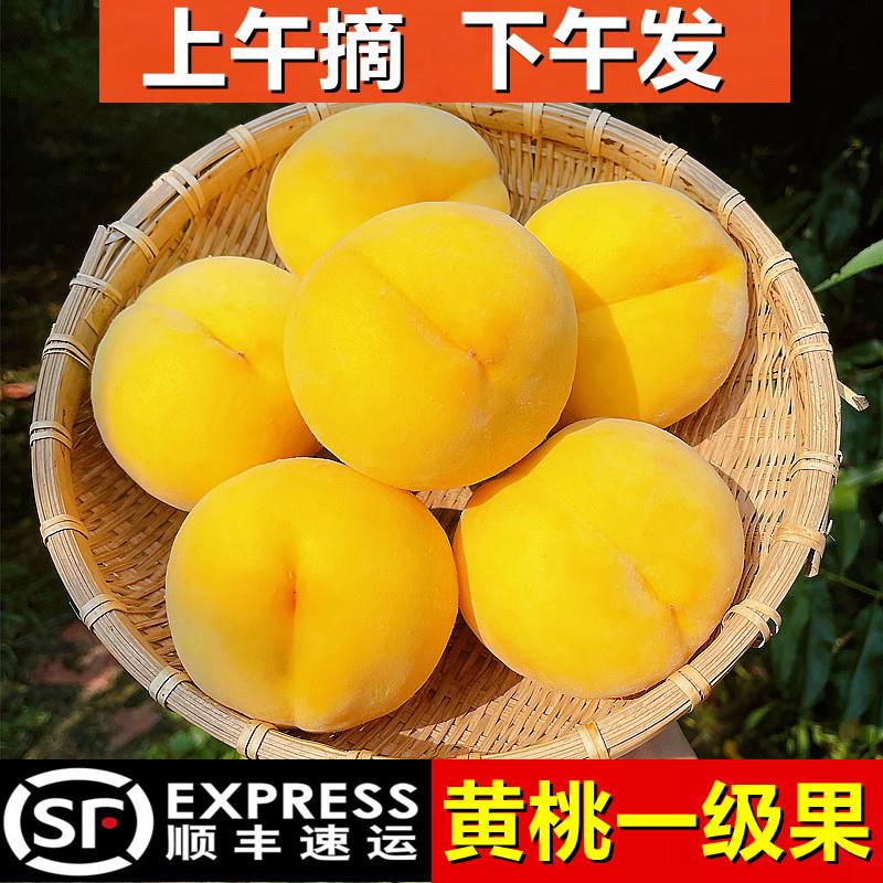 黄桃新鲜水果当季整箱孕妇特大果黄金蜜桃现货脆锦绣炎陵山东蒙阴