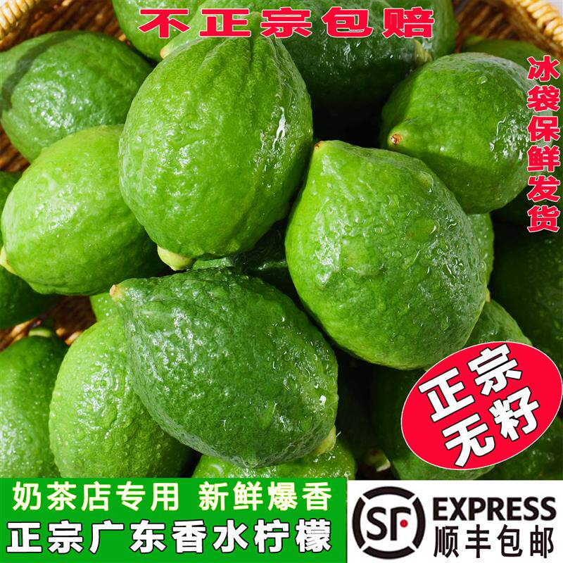 正宗广东香水柠檬奶茶店专用新鲜无籽爆香多汁青柠檬商用顺丰包邮