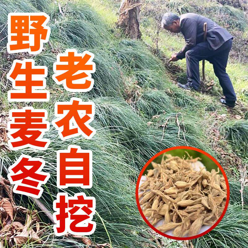 深山纯野生麦冬中药材500g正品特级麦冬黄芪党参干货