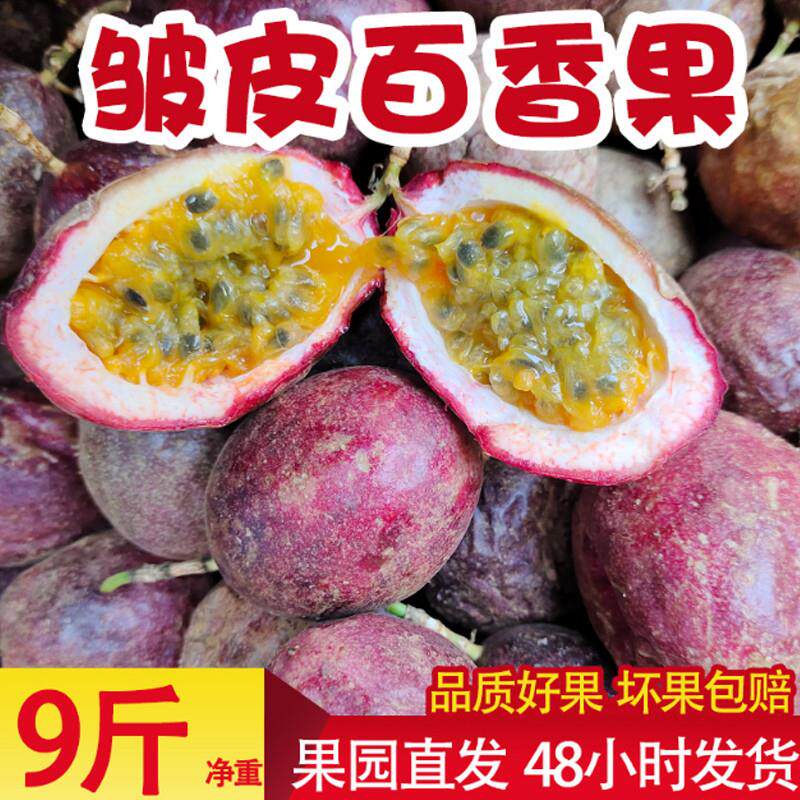 皱皮百香果丑果9斤包邮奶茶店果汁店专用云南紫皮百香果中果大果5