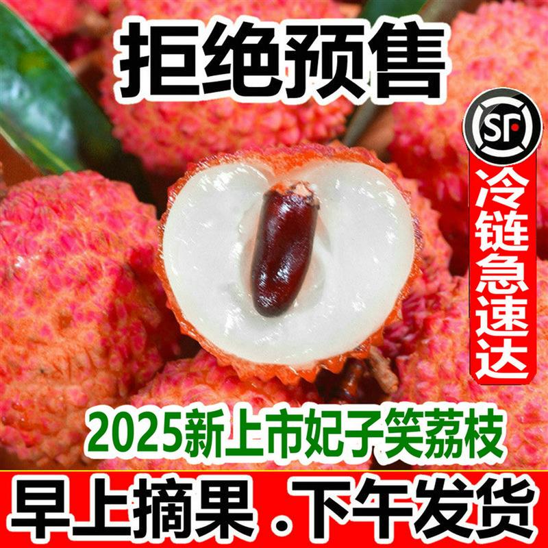 【现货】海南妃子笑荔枝5斤新鲜水果糯米白糖桂糍味罂当季顺丰