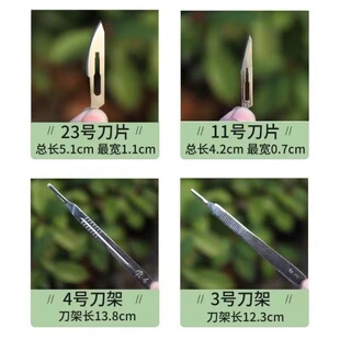 多肉植物砍头刀专用工具嫁接刀钢刀加厚芽接神器蟹爪兰月季果树苗