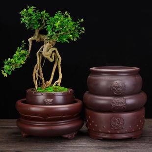 紫砂花盆古红色圆形无孔水培植物盆桌面铜钱草碗莲水仙金钱草专用