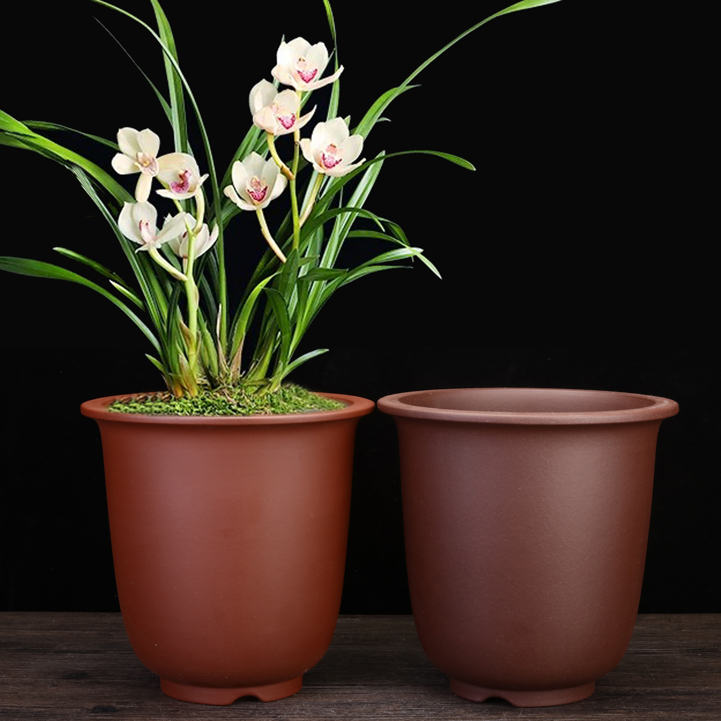 紫砂花盆金钟兰花专用盆带托盘大号透气精品盆景君子兰蕙兰中国风