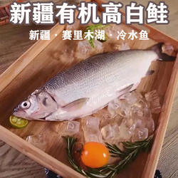 新疆有机高白鲑赛里木湖生态高白鲑冷水鱼皇后自然生长优质蛋白