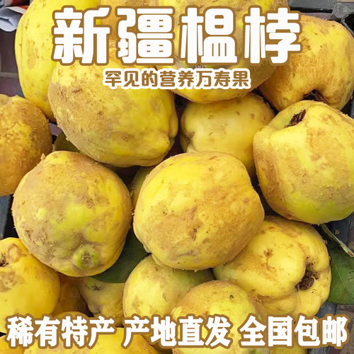 万寿瓜榅桲鹅梨新疆木瓜新鲜温桲