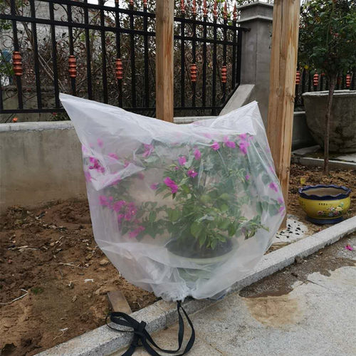 植物防寒防冻塑料膜袋树木保温罩