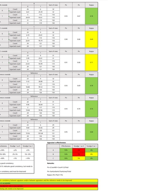 MSA测量系统分析计数型数据假设试验-Kappa，全自动判定可接受性
