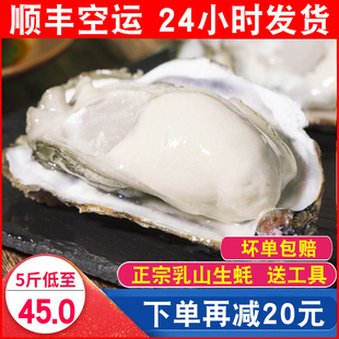 乳山生蚝鲜活10斤装 一箱5斤新鲜大牡蛎带壳海蛎子即食海鲜水产品