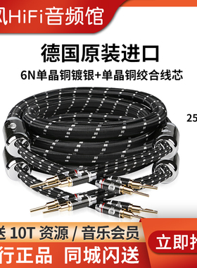 JIB德国蟒蛇BEB2025镀银单晶铜胆机功放接音箱音响喇叭线连接线