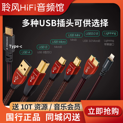 线圣AQ肉桂Cinnamon解码耳放线AB