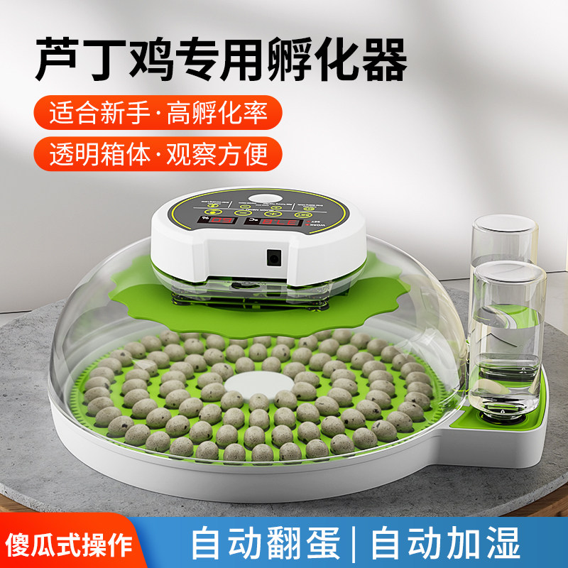 孵化器小型家用全自动智能小飞碟孵蛋器鹦鹉芦丁鸡鸟蛋恒温孵化箱